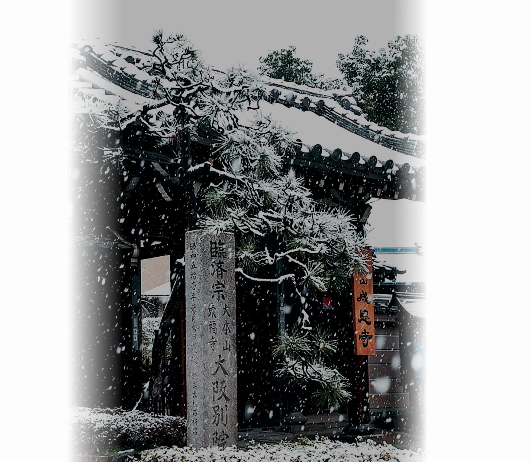 成恩寺の写真